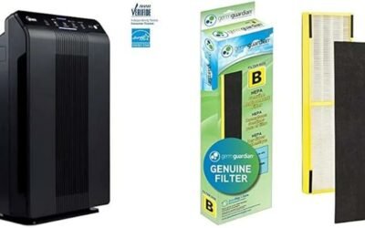 Winix 5500-2 Air Purifier Review