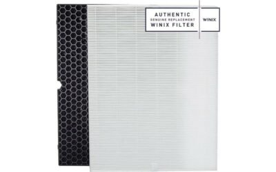 Winix 116130 Replacement Filter H Review
