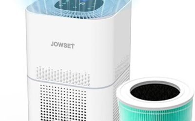 Air Purifiers for Home Review: Clean Air Guaranteed