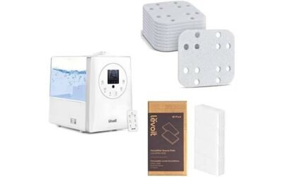 LEVOIT LV600 Humidifiers: A Comprehensive Review
