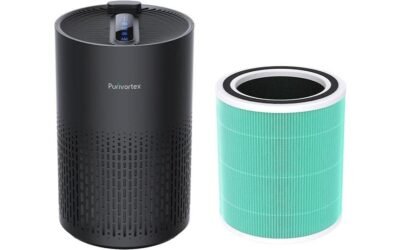 Product Review: Air Purifiers Plus One More