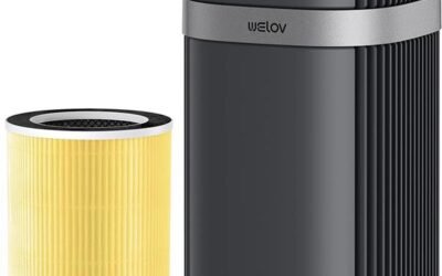 Welov P100 Air Purifier Review