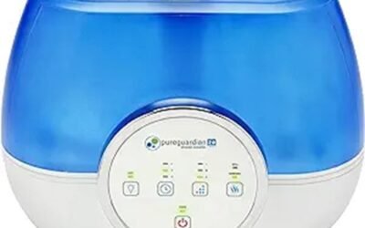 PureGuardian H4810AR Humidifier Review: Quiet and Effective