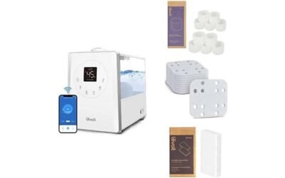 LEVOIT LV600S Humidifier Review: Smart Comfort Solution