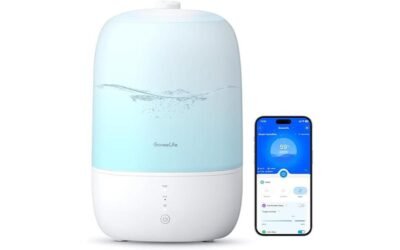 GoveeLife Smart Humidifier Review: Ultimate Home Comfort