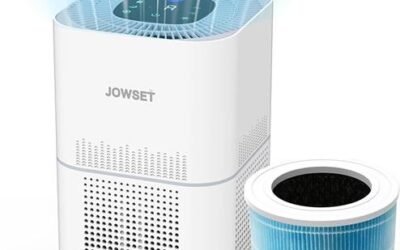 Product Review: Air Purifiers for Smoke