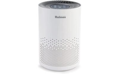 Holmes Air Purifier Review: A Disappointing Experience